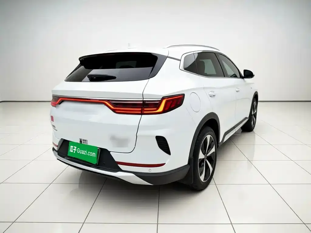 BYD PLUS New Energy — фото 4