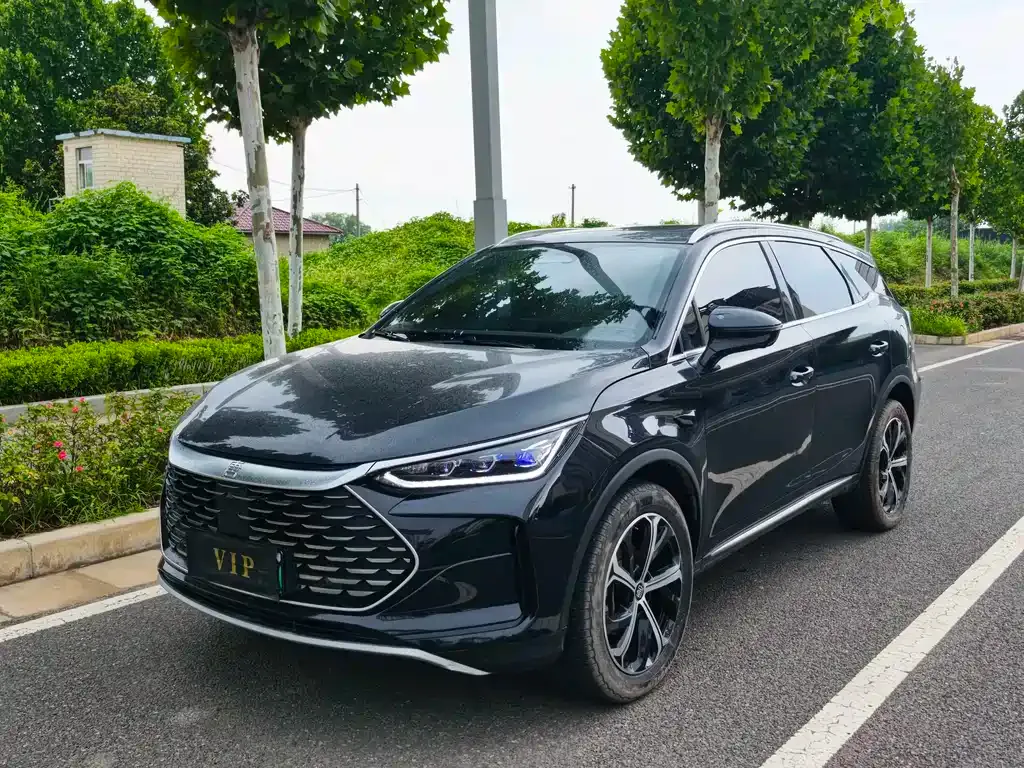 BYD Tang New Energy — фото 1