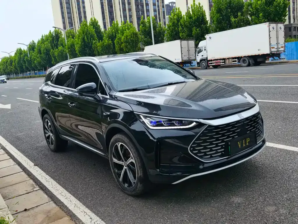 BYD Tang New Energy — фото 8