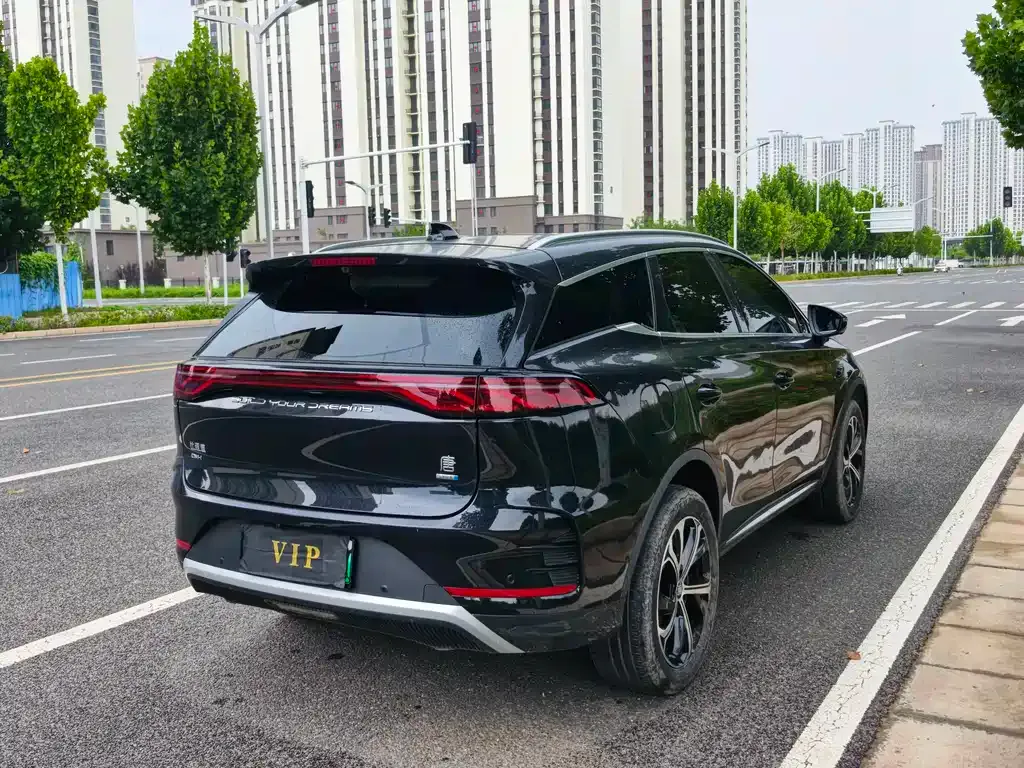 BYD Tang New Energy — фото 4