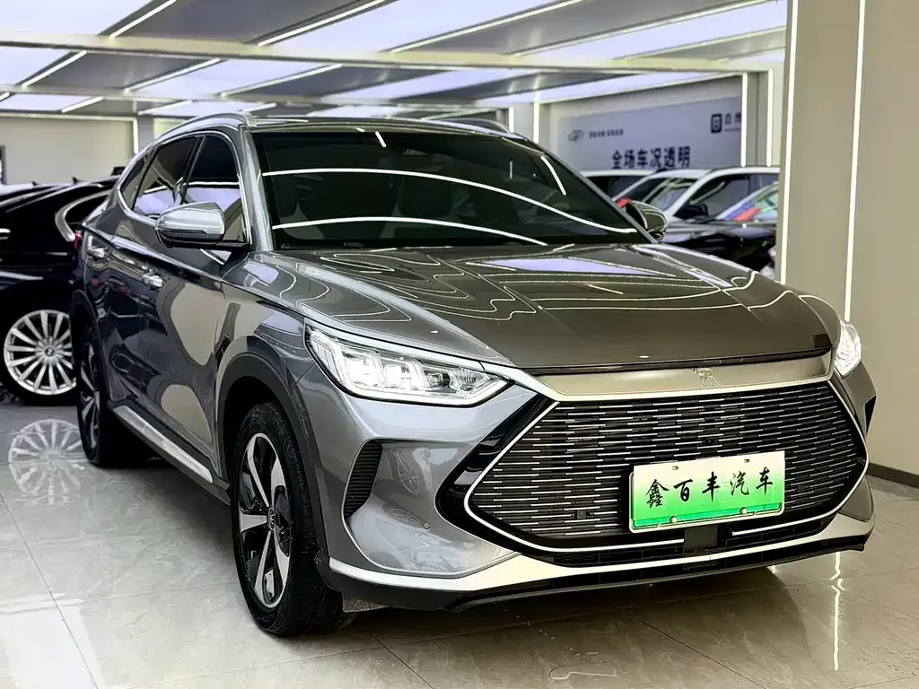 BYD PLUS New Energy — фото 4