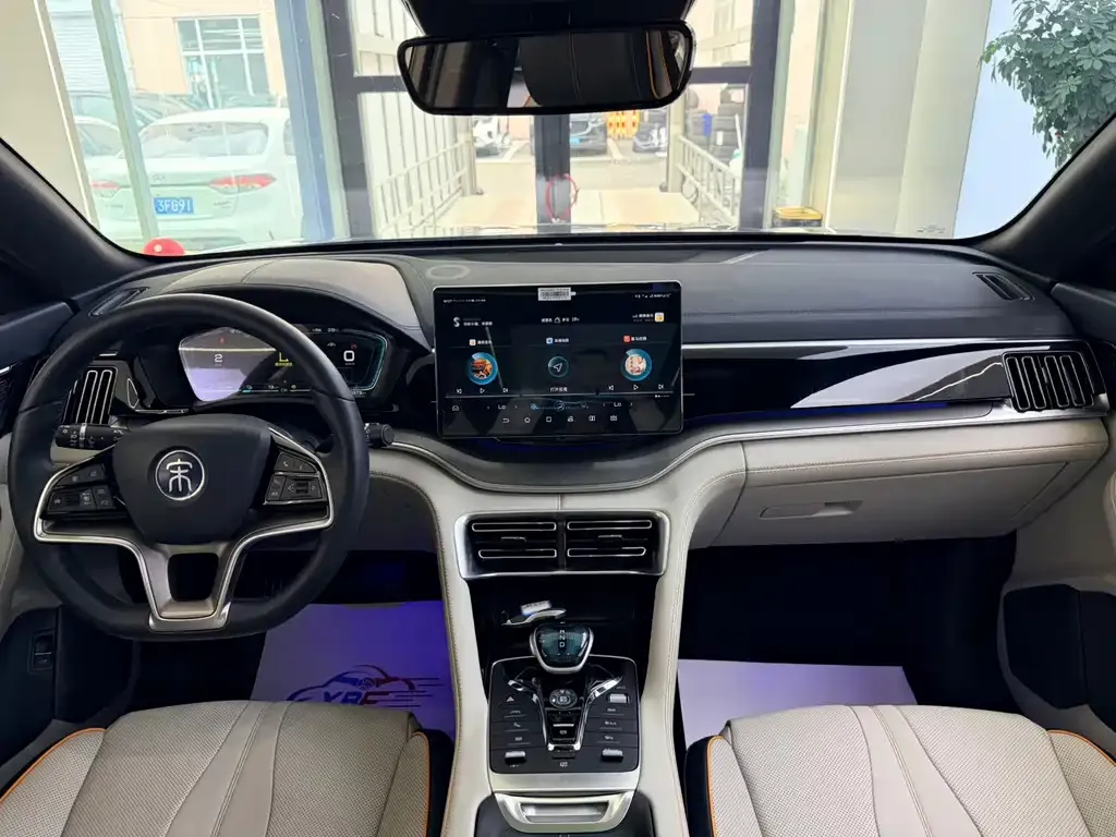 BYD PLUS New Energy — фото 10