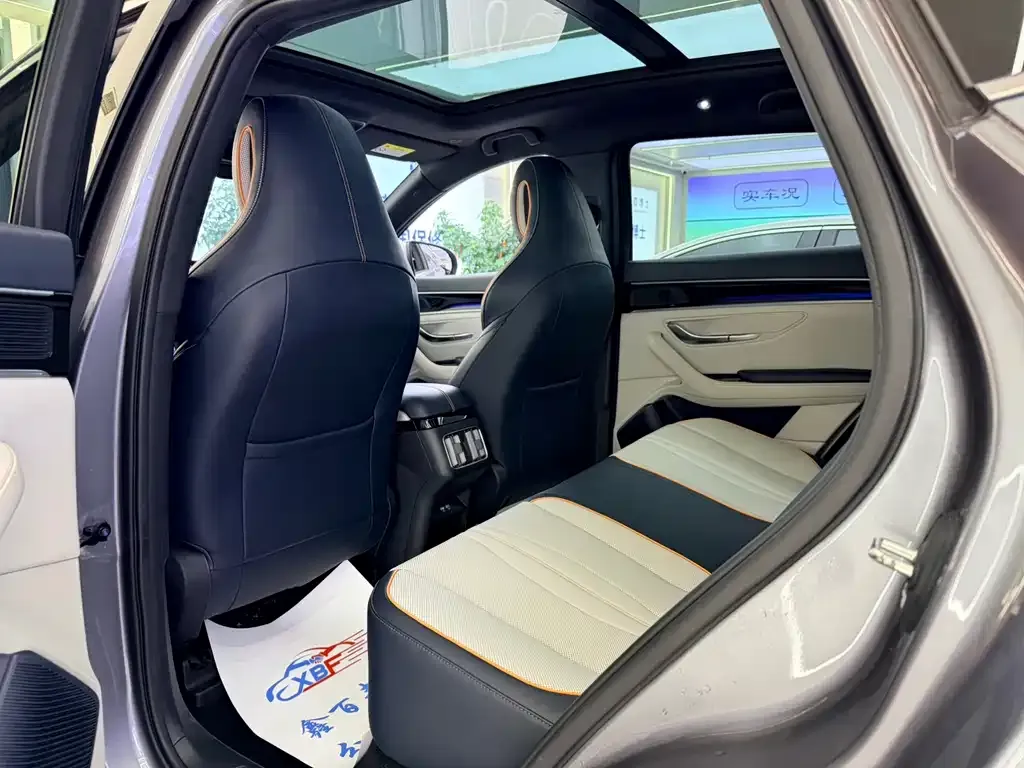 BYD PLUS New Energy — фото 2