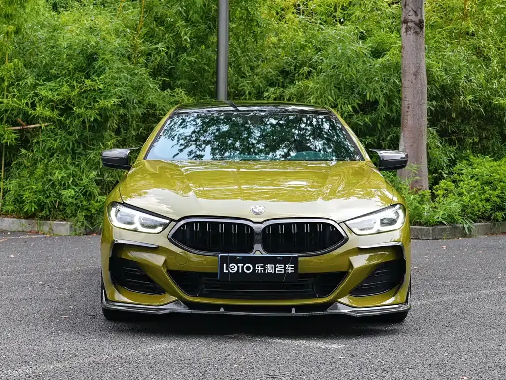 BMW 8 Series — фото 10