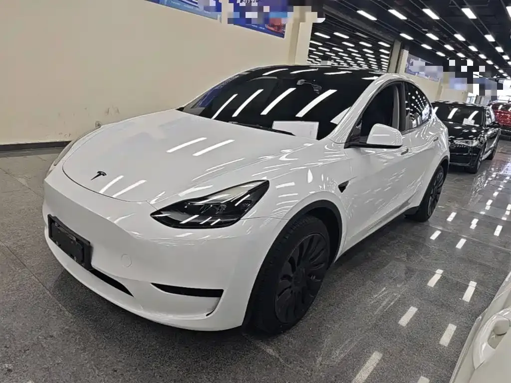 Tesla Model Y — фото 5