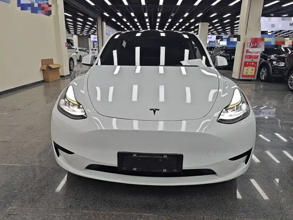 Tesla Model Y — фото 3