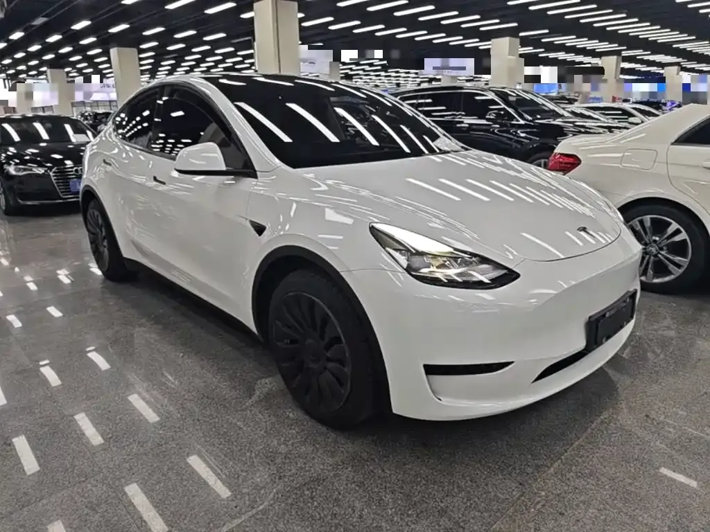 Tesla Model Y — фото 10
