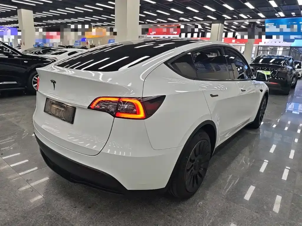 Tesla Model Y — фото 9