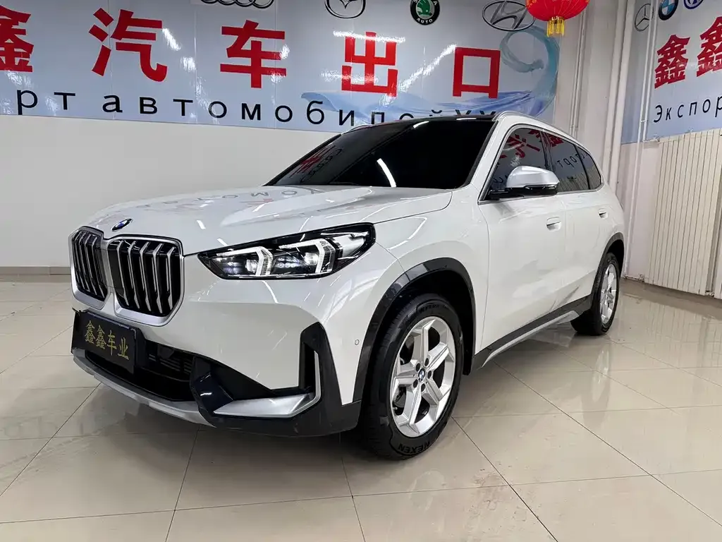 BMW X1 — фото 1