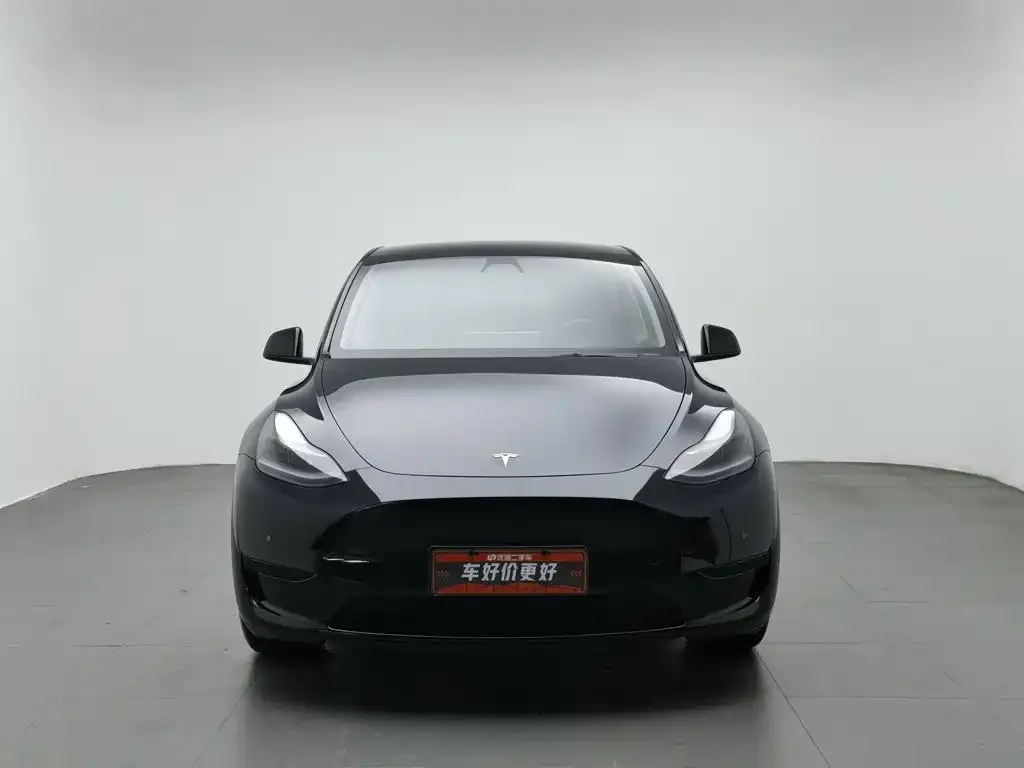 Tesla Model Y — фото 5