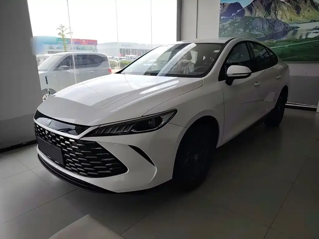 BYD Qin PLUS — фото 5