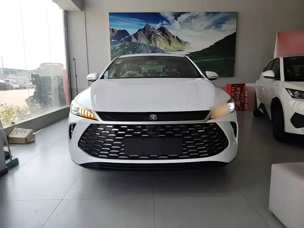 BYD Qin PLUS — фото 6