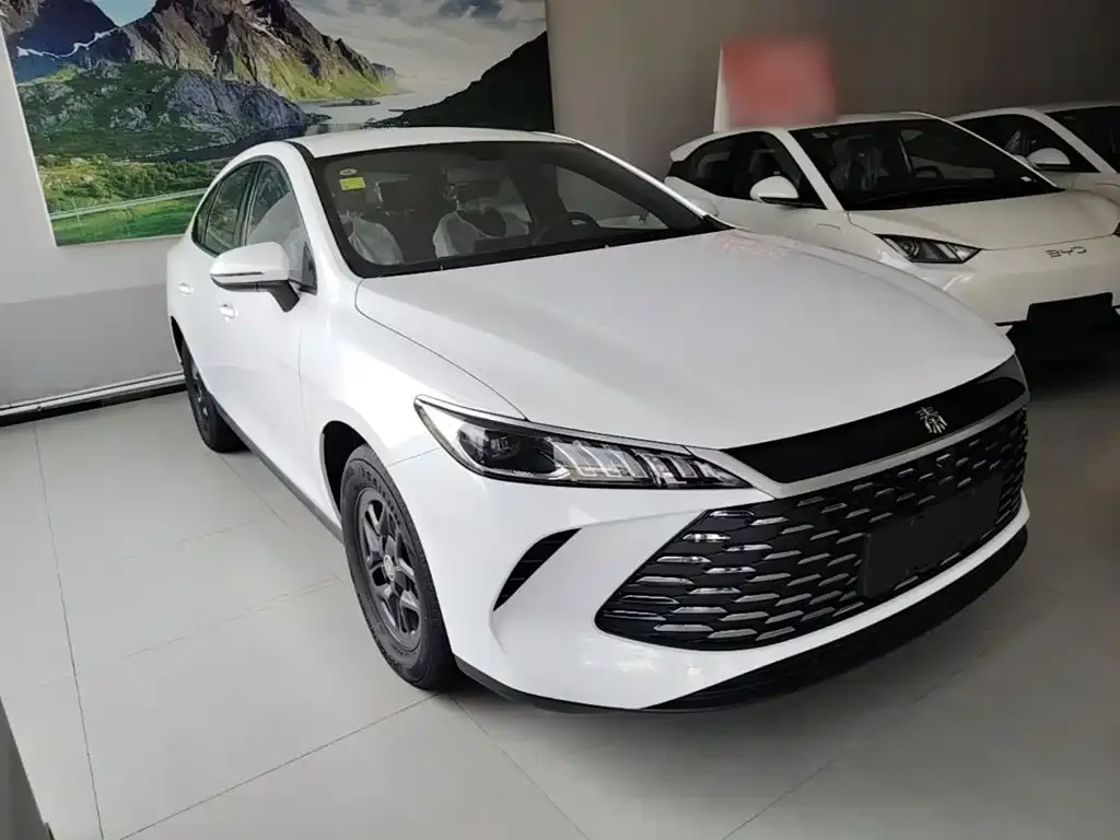 BYD Qin PLUS — фото 8