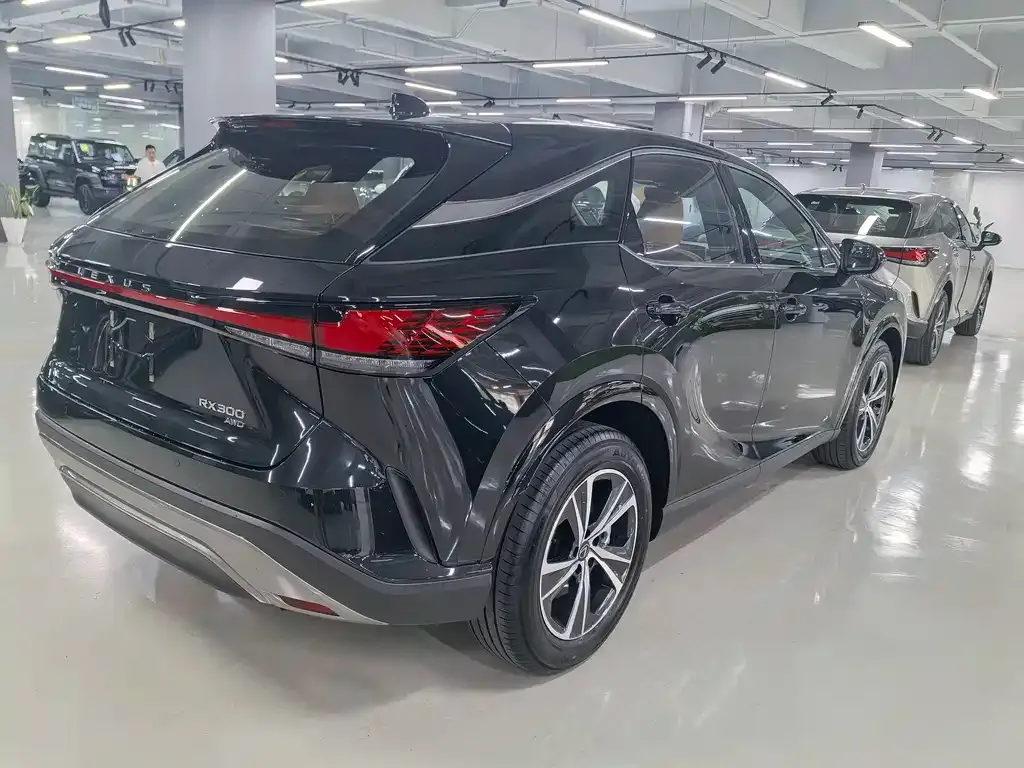 Lexus RX — фото 5