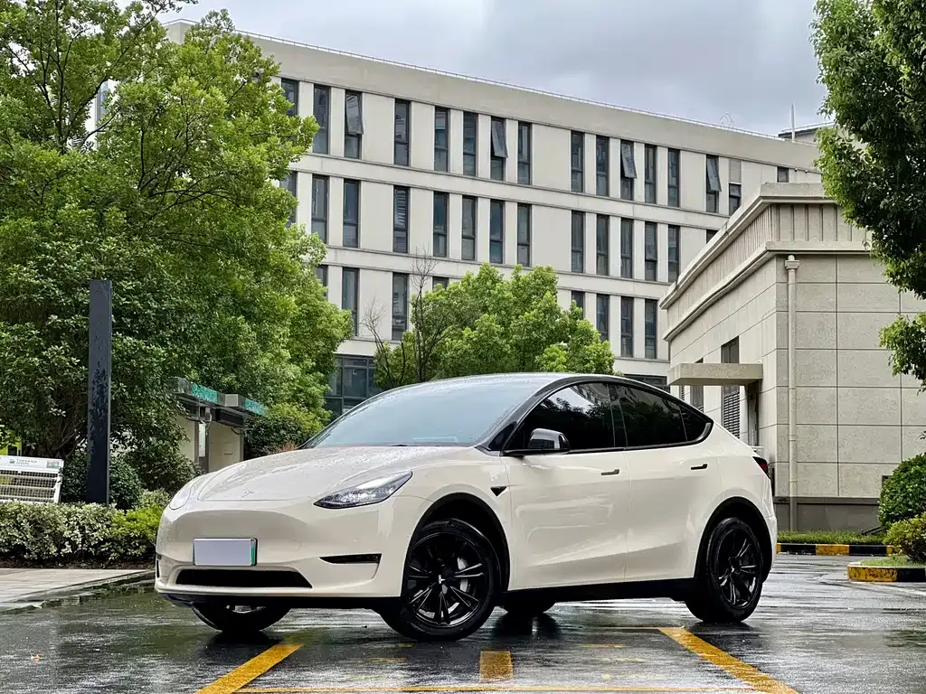 Tesla Model Y — фото 1
