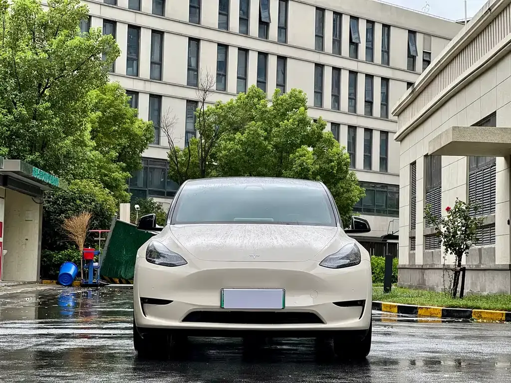 Tesla Model Y — фото 10