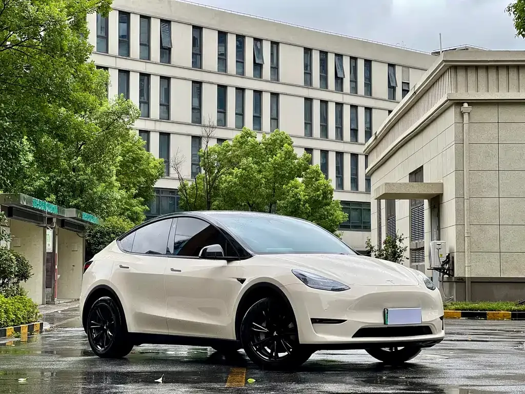 Tesla Model Y — фото 7