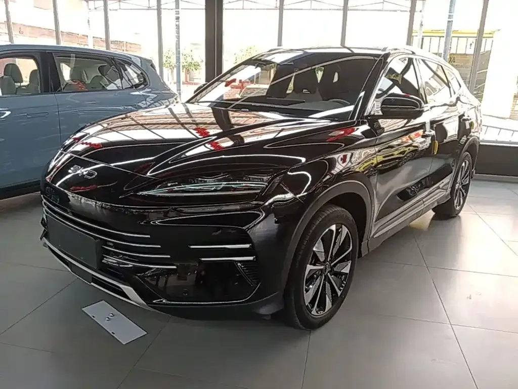 BYD PLUS New Energy — фото 5