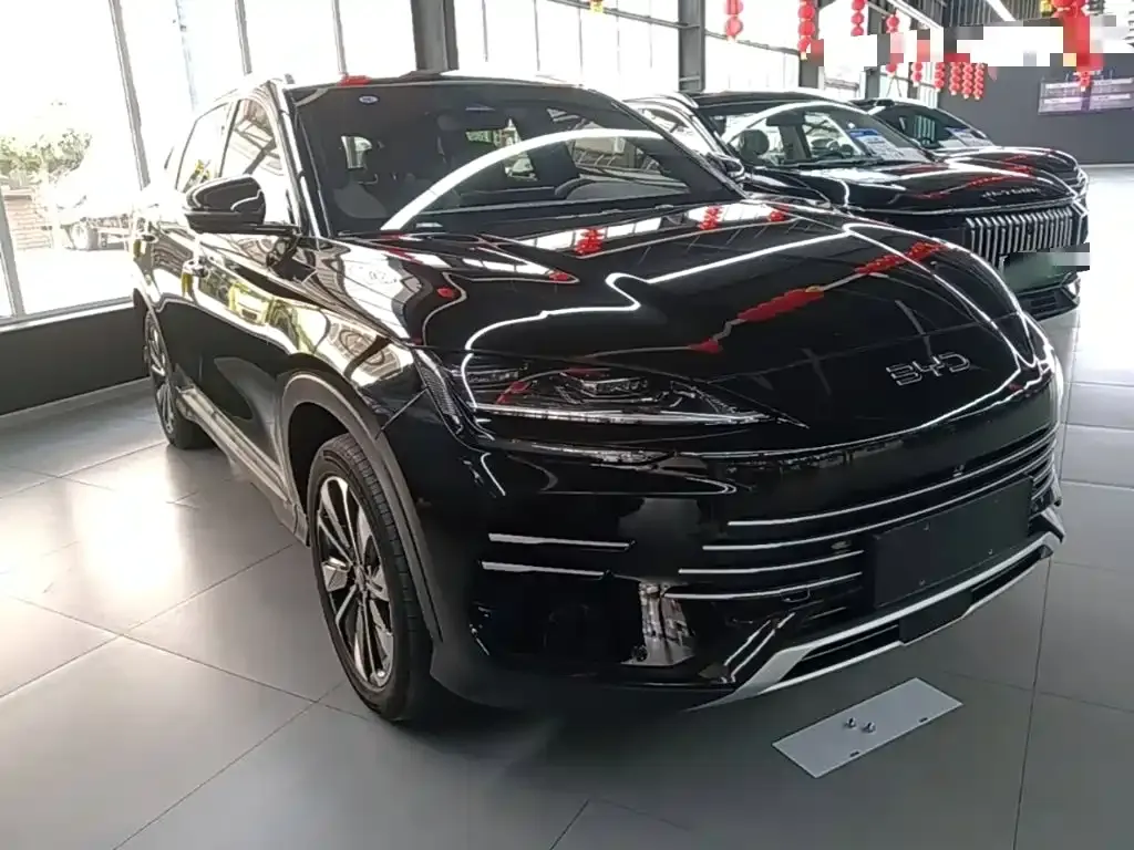 BYD PLUS New Energy — фото 6