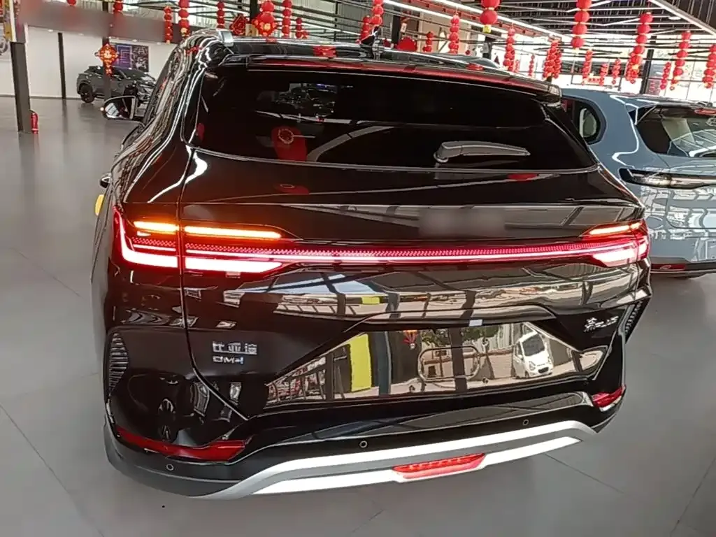BYD PLUS New Energy — фото 8
