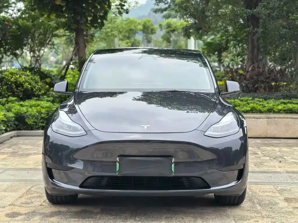 Tesla Model Y — фото 6