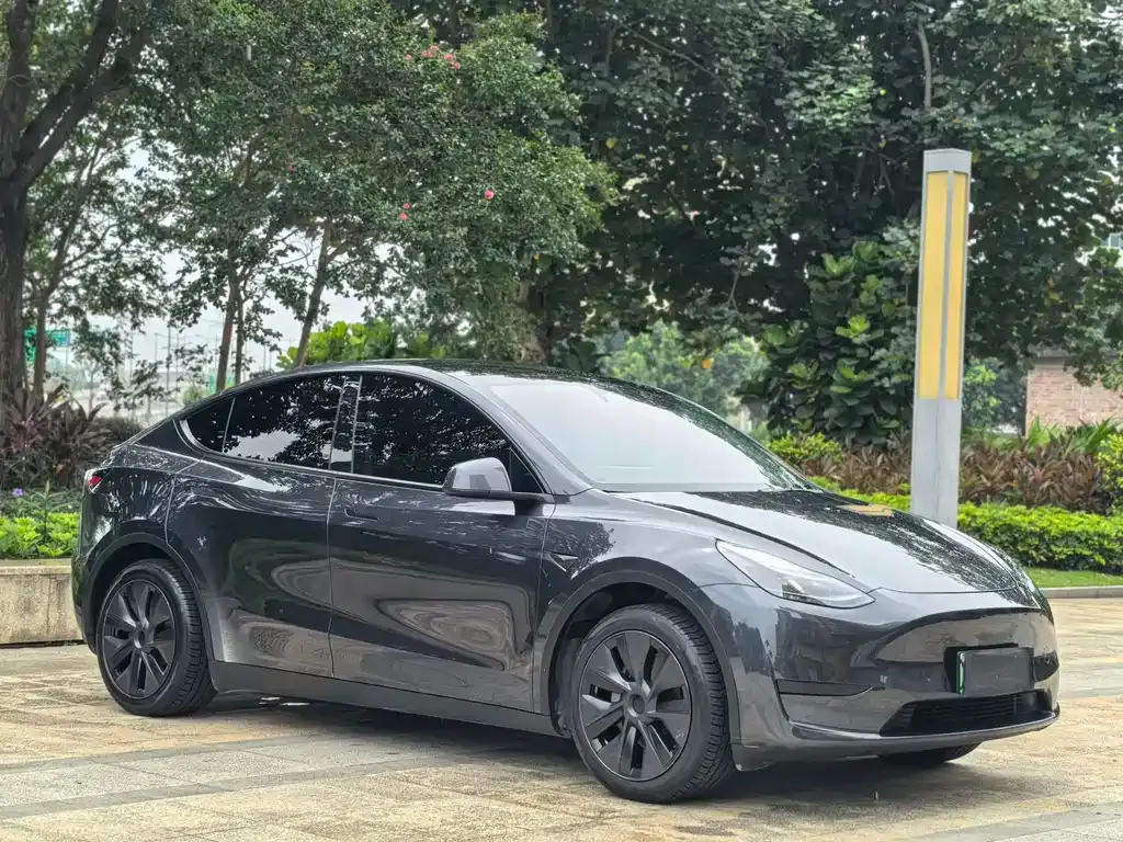 Tesla Model Y — фото 10