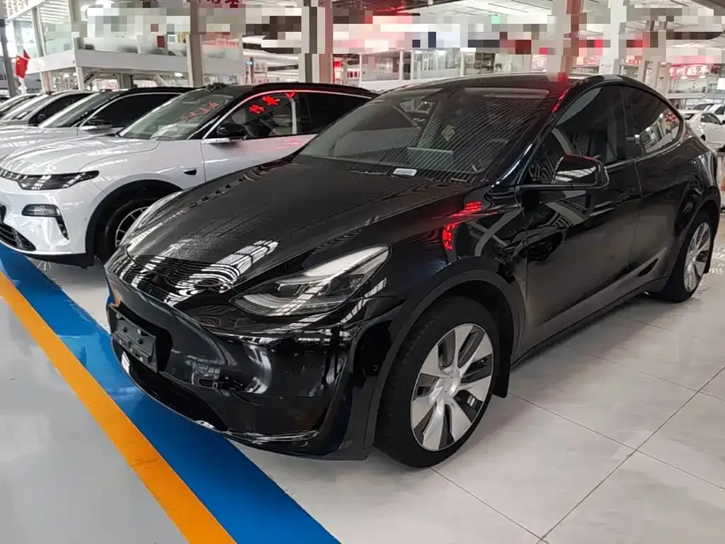 Tesla Model Y — фото 3