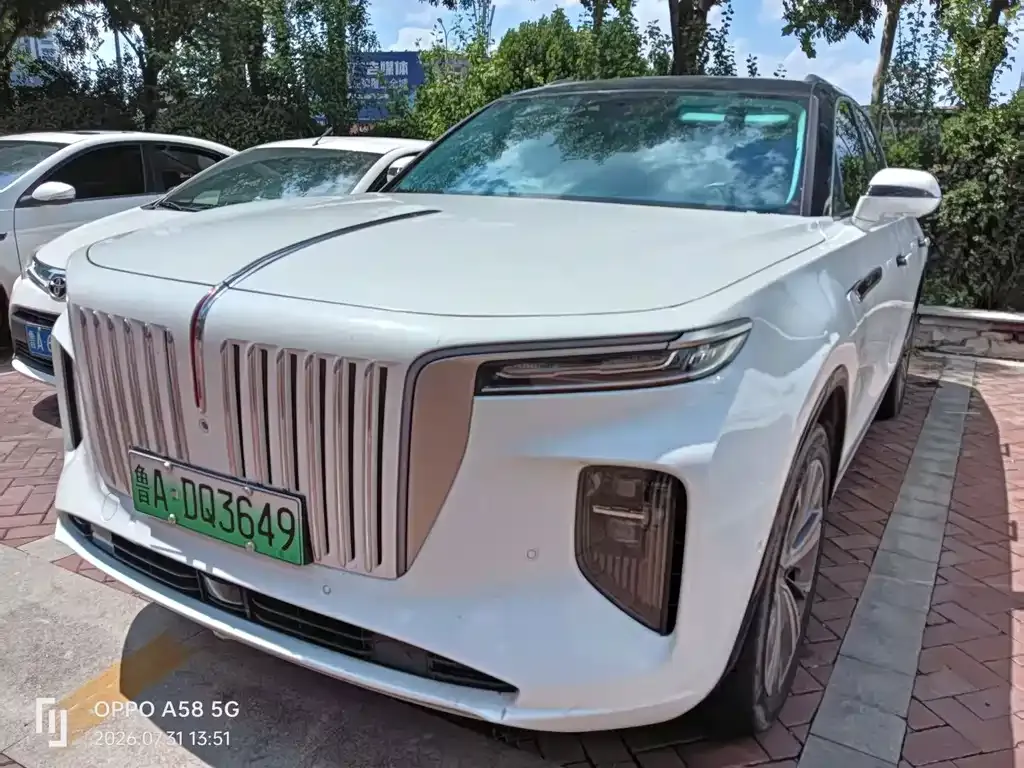 Hongqi E-HS9 — фото 10