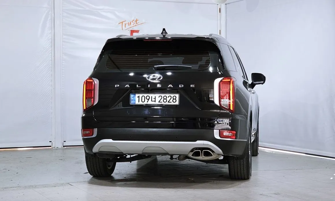 Hyundai Palisade — фото 8