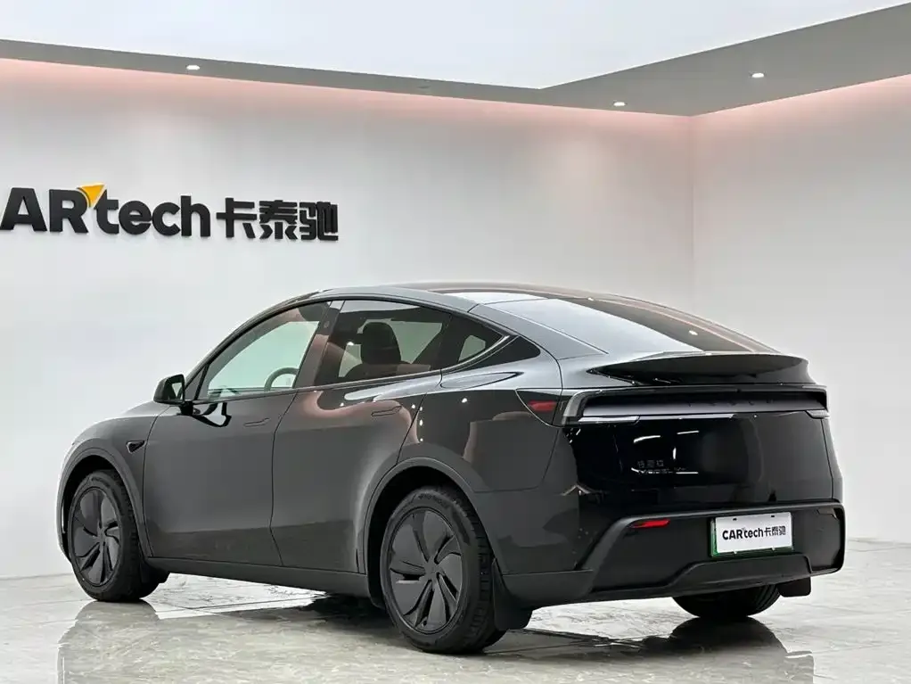 Tesla Model Y — фото 10