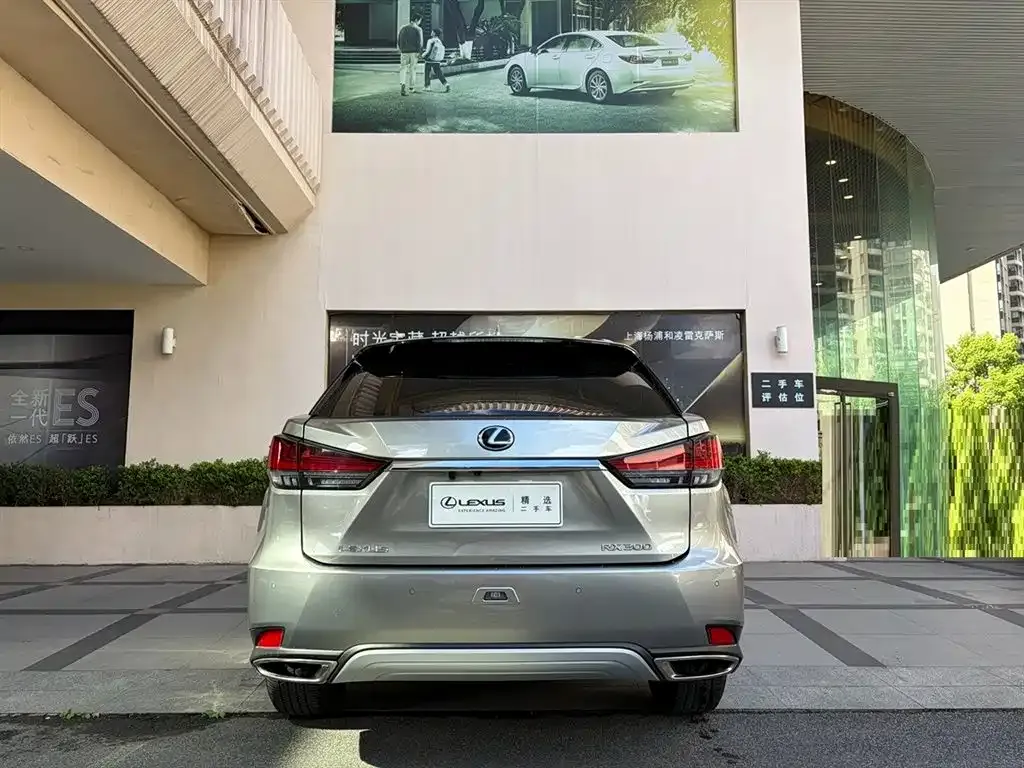 Lexus RX — фото 3