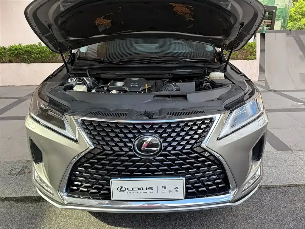 Lexus RX — фото 8