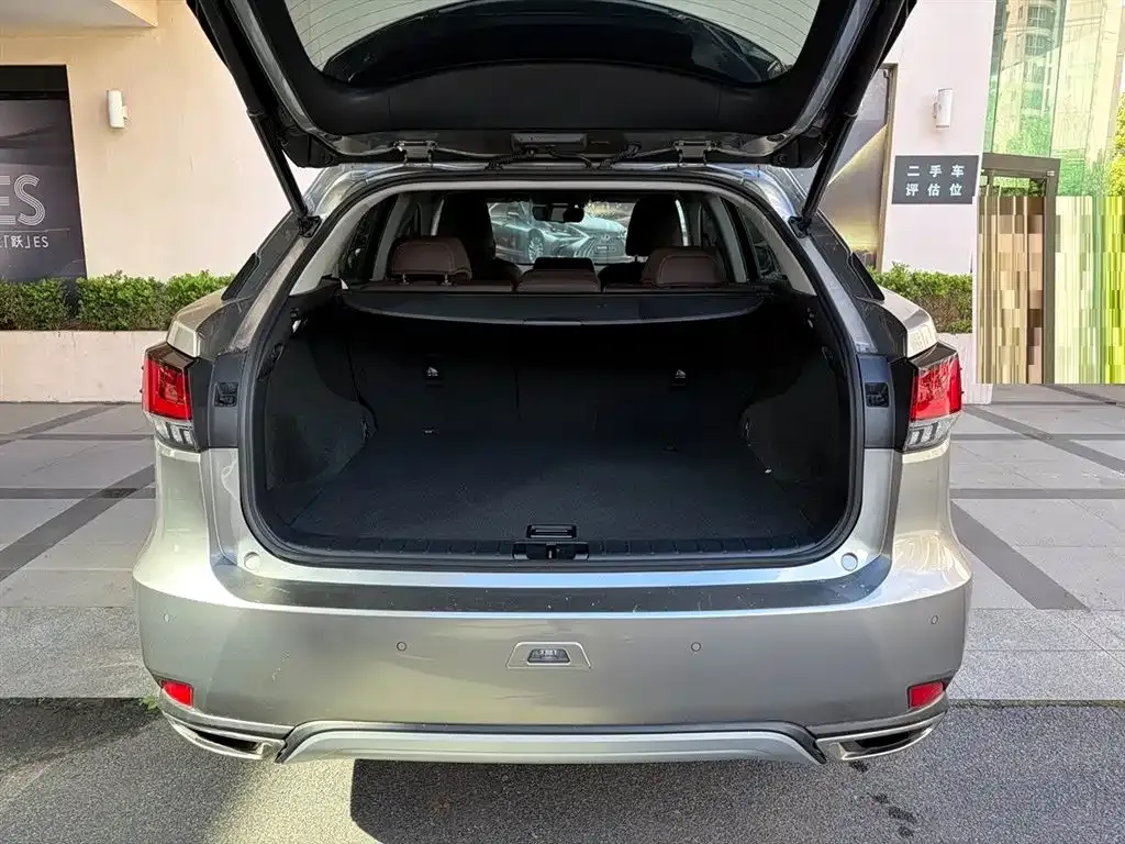 Lexus RX — фото 10