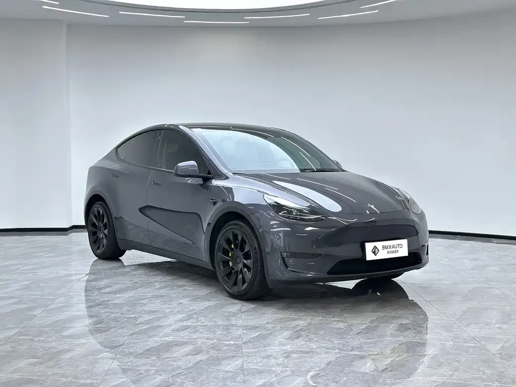 Tesla Model Y — фото 2