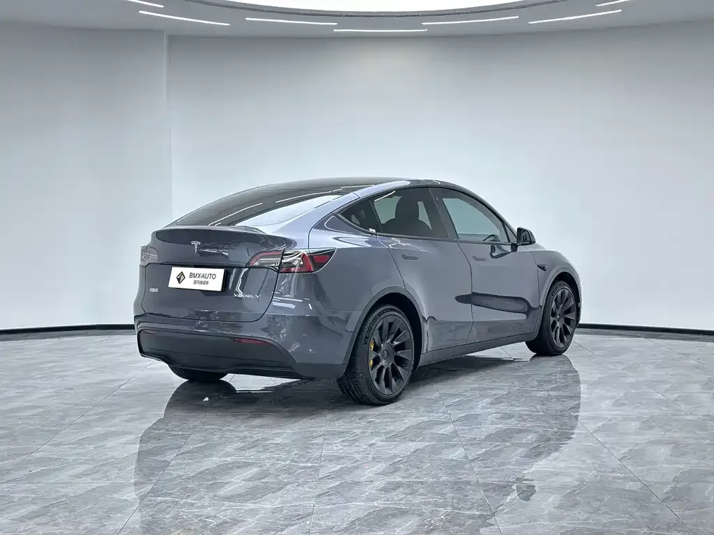 Tesla Model Y — фото 5