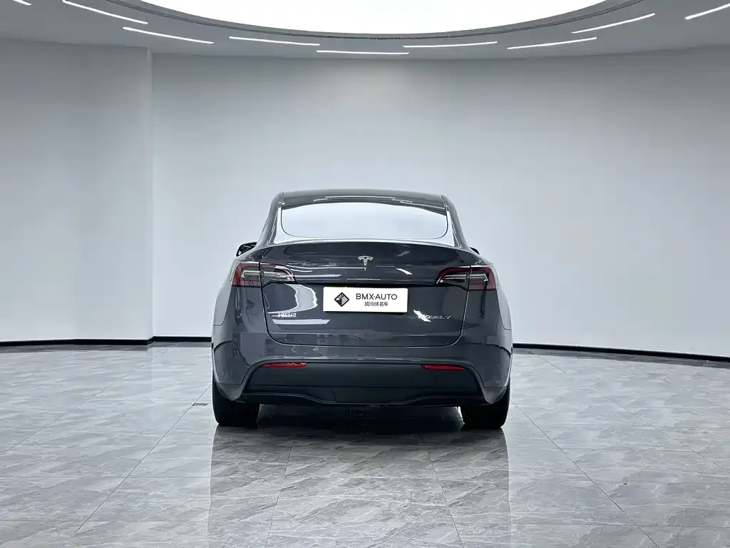 Tesla Model Y — фото 8