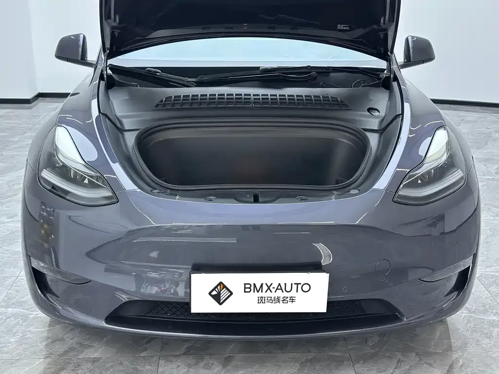 Tesla Model Y — фото 10