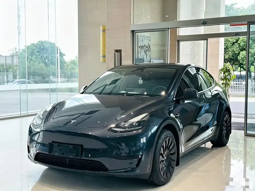 Tesla Model Y — фото 1