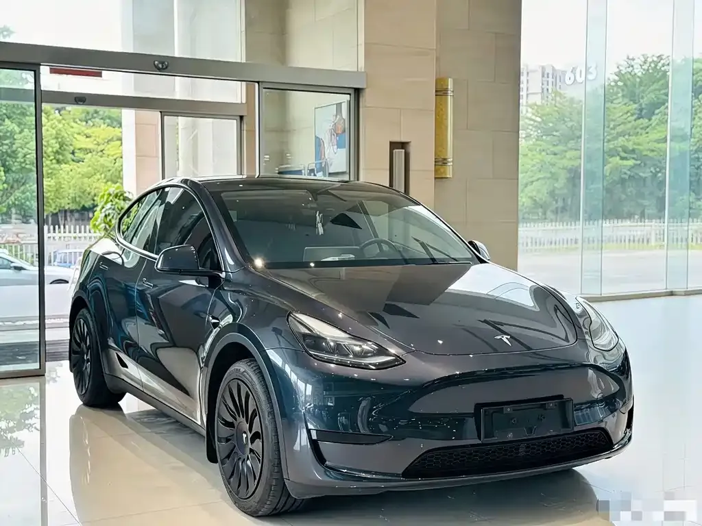 Tesla Model Y — фото 8