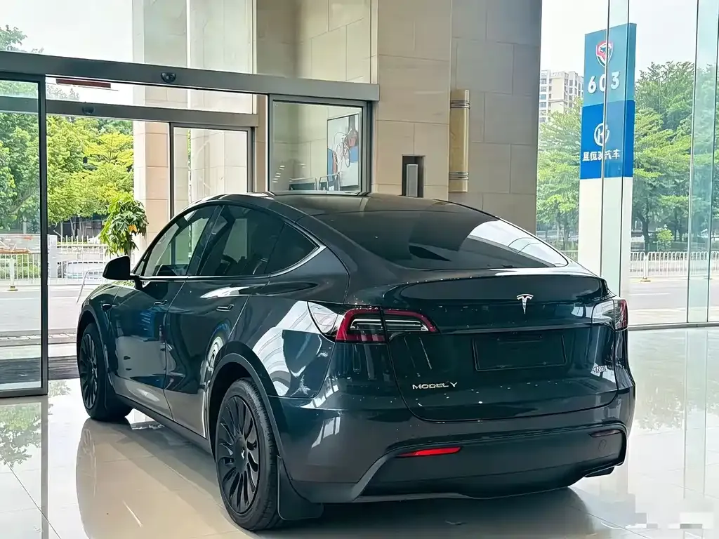 Tesla Model Y — фото 9