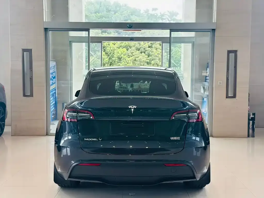 Tesla Model Y — фото 5