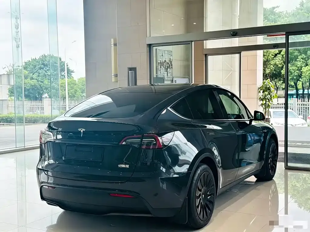 Tesla Model Y — фото 3