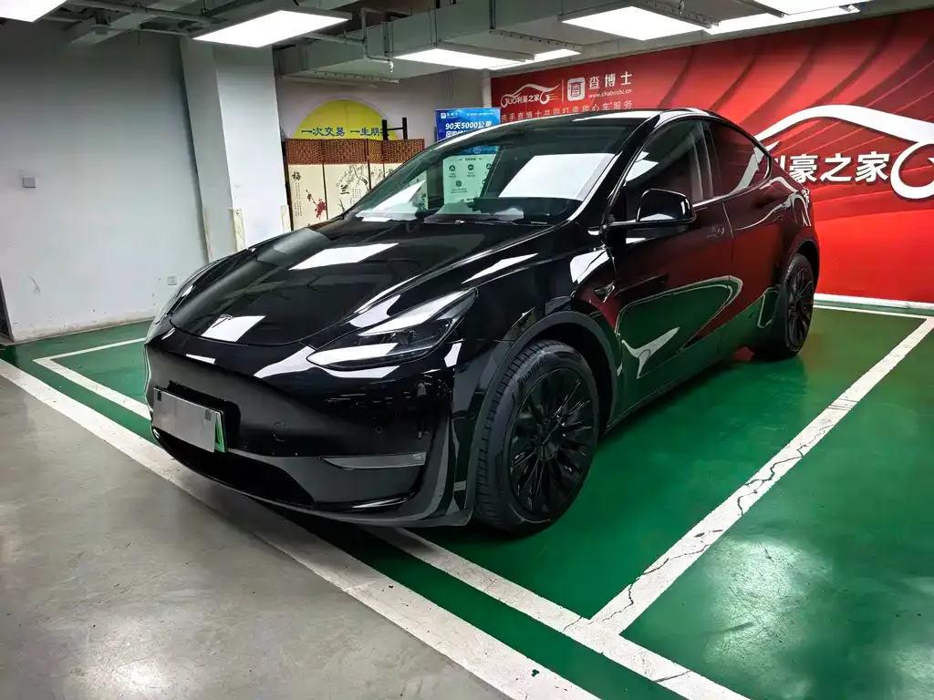 Tesla Model Y — фото 1