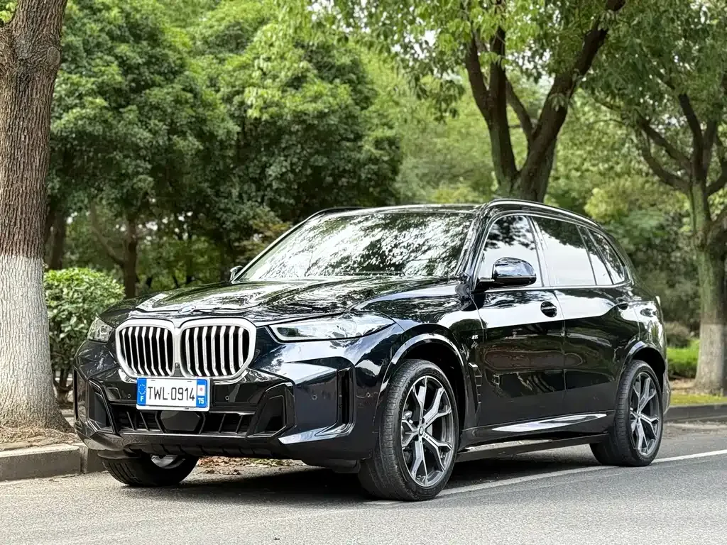 BMW X5 — фото 1
