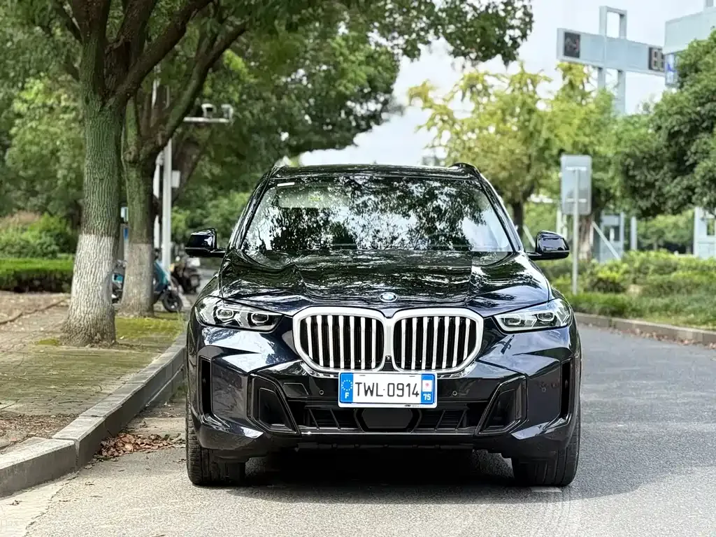 BMW X5 — фото 9