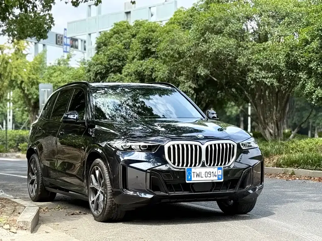BMW X5 — фото 10