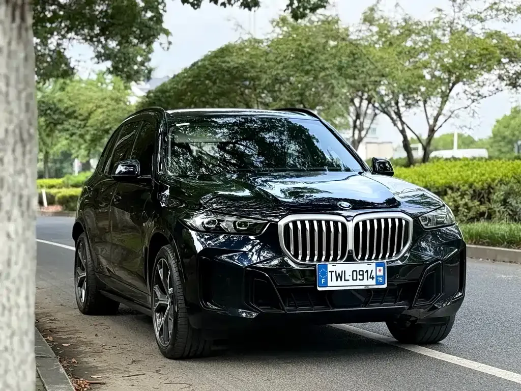BMW X5 — фото 3