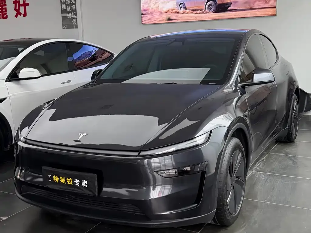 Tesla Model Y — фото 1