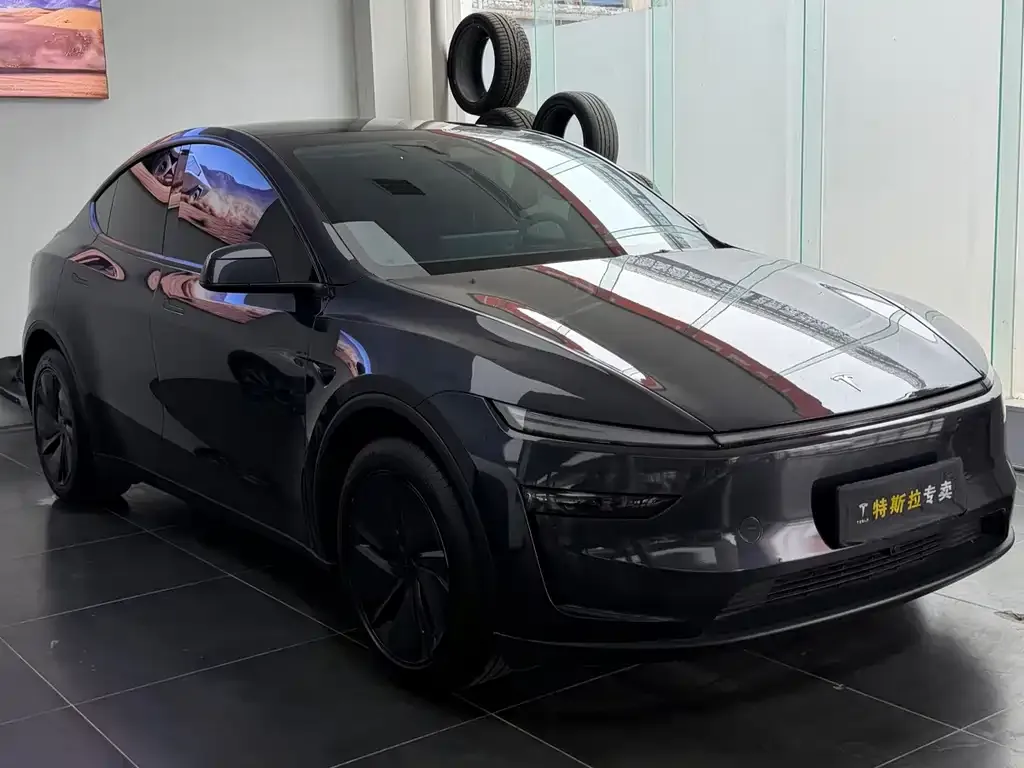 Tesla Model Y — фото 3