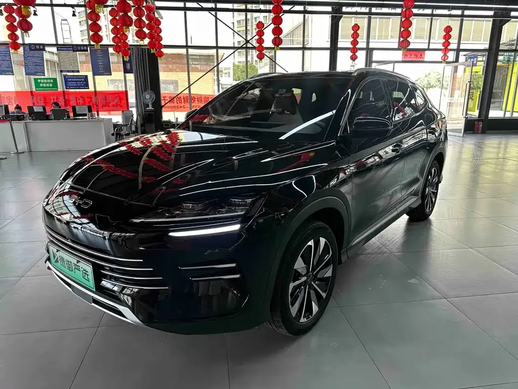 BYD PLUS New Energy — фото 1